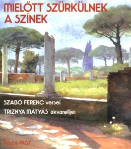 Szabó Ferenc-Triznya Mátyás: Mielőtt szürkülnek a színek