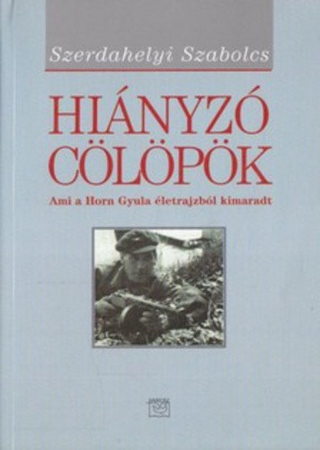 Szerdahelyi Szabolcs: Hiányzó cölöpök