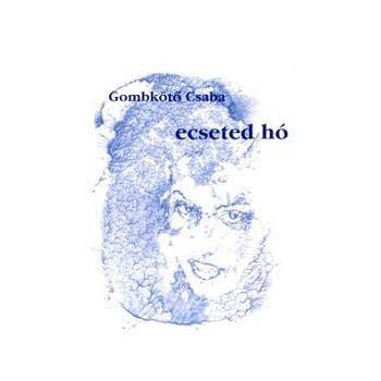 Gombkötő Csaba: Ecseted hó
