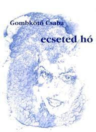 Gombkötő Csaba: Ecseted hó