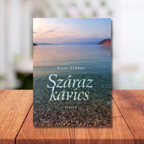 Heidl György: Száraz kavics
