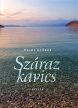 Heidl György: Száraz kavics
