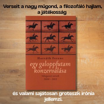 Horváth Ferenc: Egy galoppfutam konzerválása