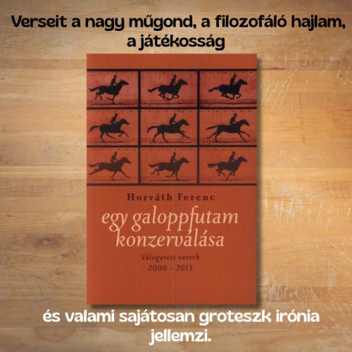 Horváth Ferenc: Egy galoppfutam konzerválása