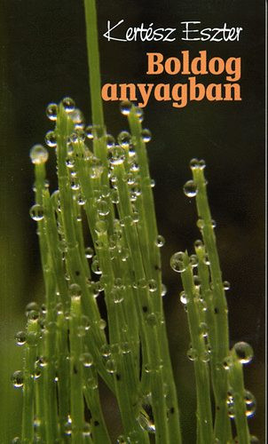 Kertész Eszter: Boldog anyagban