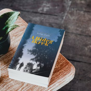 Kollár Zsolt: A Hideg ikrek