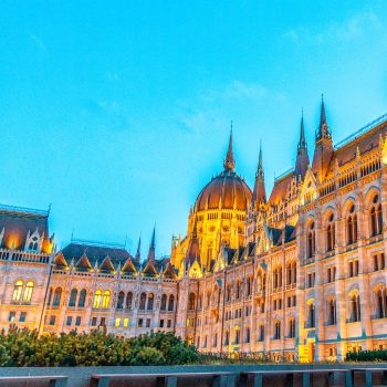 Politika, szociológia